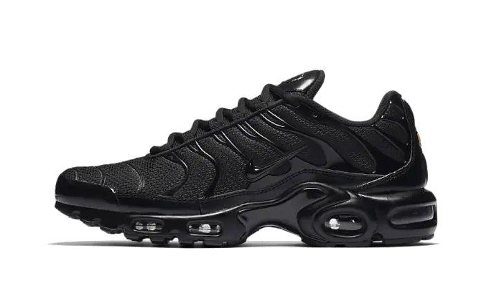 Nike Air Max Plus Triple Black - 604133-050